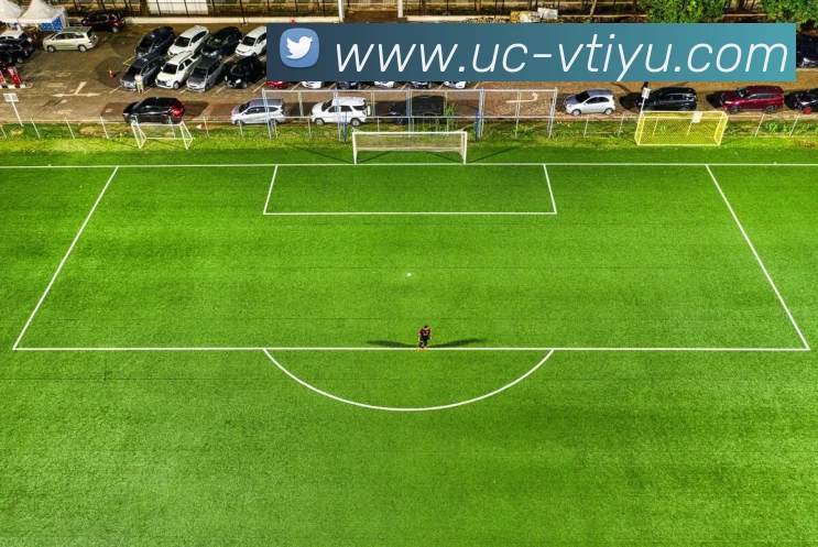 App Interface Preview