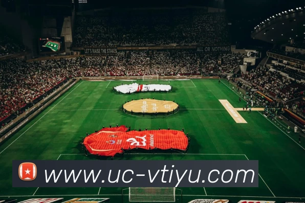 V体育APP 封面图